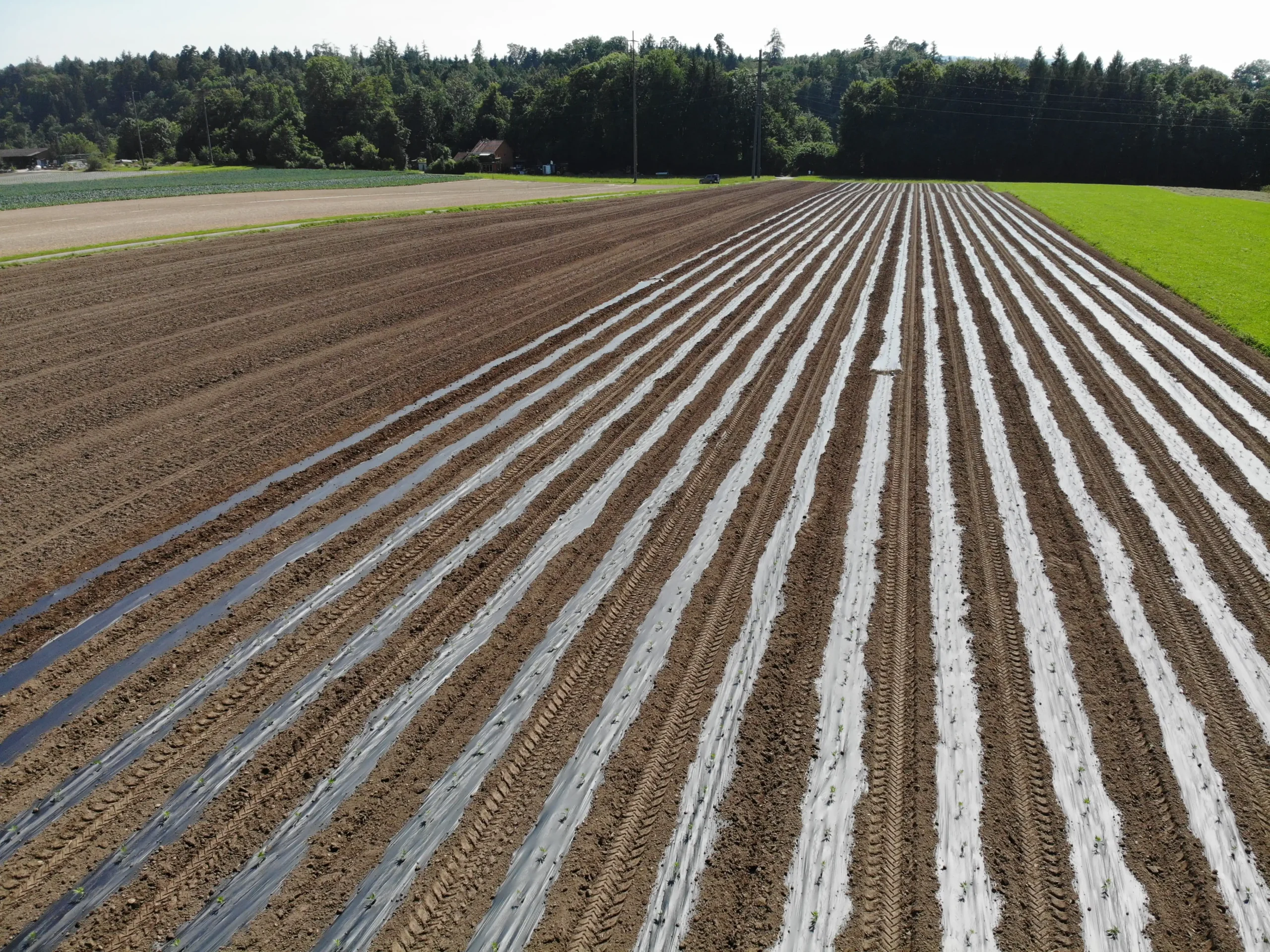 Agronoma Schweizer Landwirtschaft und Anbau